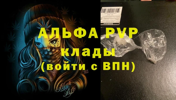 крисы Новокубанск