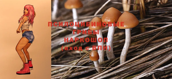mdma Новозыбков