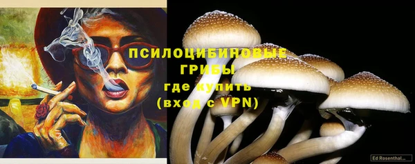 mdma Новозыбков
