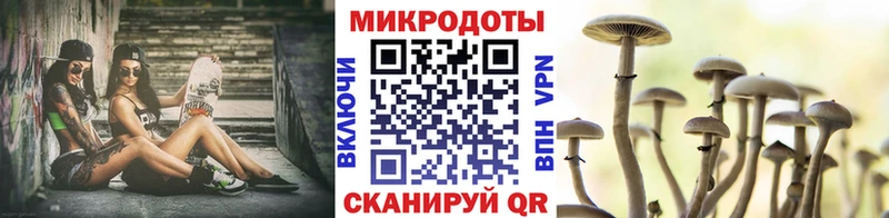 Псилоцибиновые грибы Psilocybe  kraken ссылки  Дербент 
