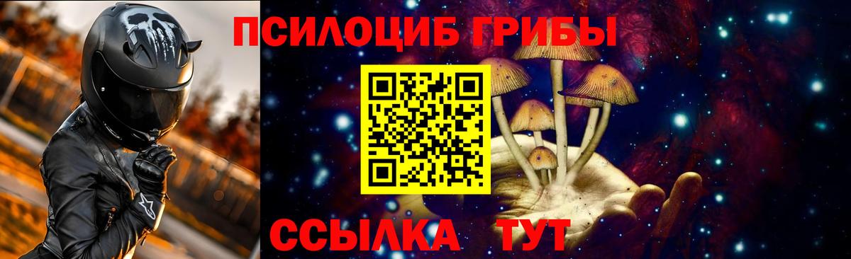 Псилоцибиновые грибы Magic Shrooms Дербент